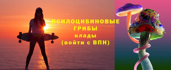 Альфа ПВП Алзамай