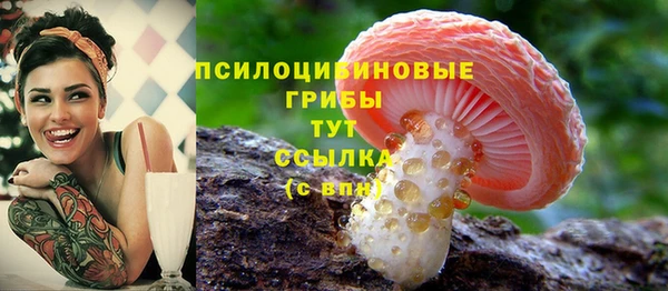 ALPHA PVP Алексеевка