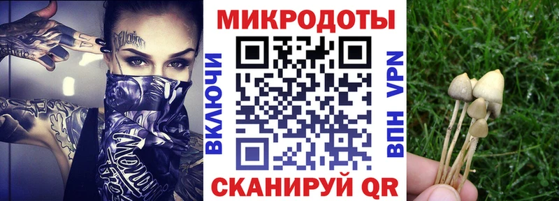 ОМГ ОМГ ССЫЛКА как найти наркотики Поворино Галлюциногенные грибы мухоморы