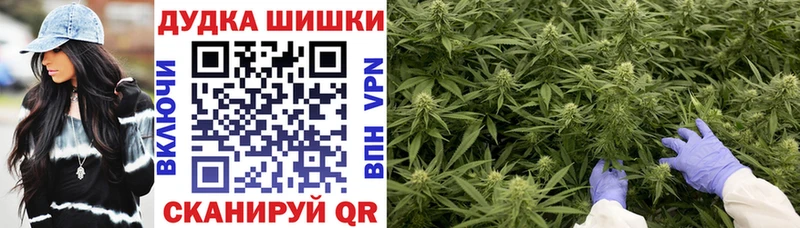 kraken tor  Поворино  Канабис планчик  где купить  